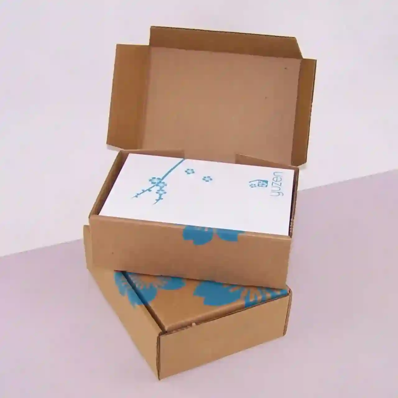 Custom Mailer Boxes